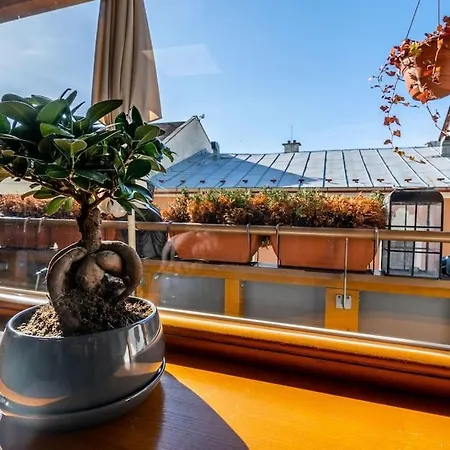 Strieborna V Centre Mesta